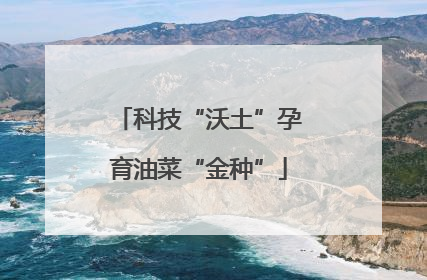 科技“沃土”孕育油菜“金种”